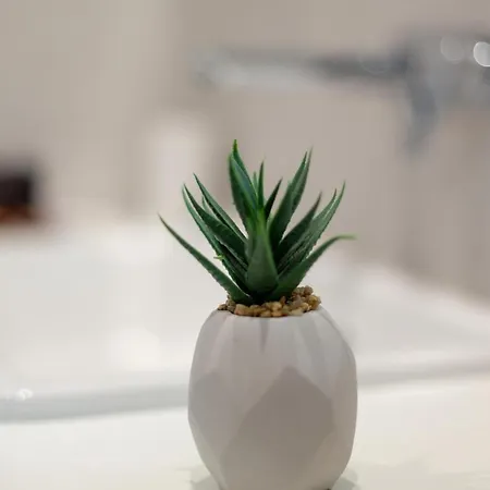 Jakic 1 게스트하우스 흐바르